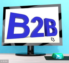 B2B的基础设施包括商品配送 应用服务提供商